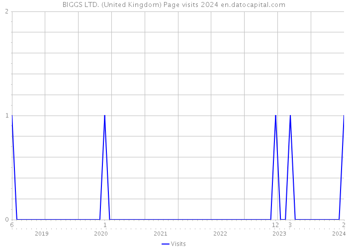 BIGGS LTD. (United Kingdom) Page visits 2024 