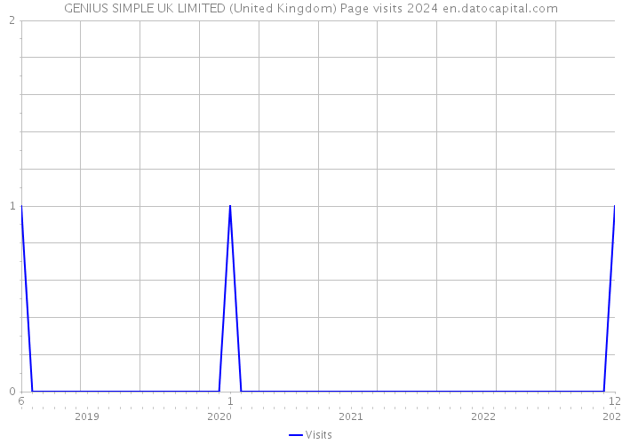 GENIUS SIMPLE UK LIMITED (United Kingdom) Page visits 2024 