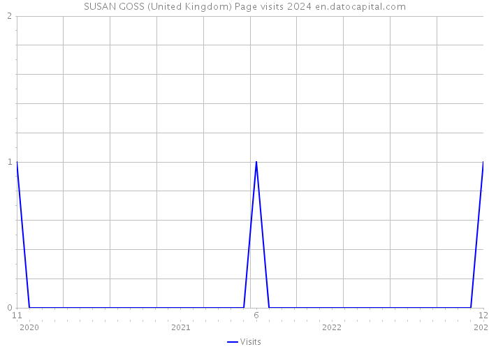 SUSAN GOSS (United Kingdom) Page visits 2024 