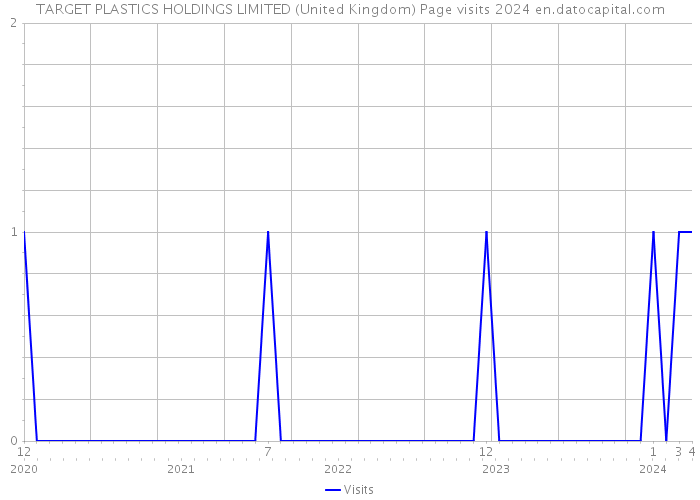 TARGET PLASTICS HOLDINGS LIMITED (United Kingdom) Page visits 2024 