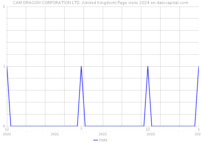 CAM DRAGON CORPORATION LTD. (United Kingdom) Page visits 2024 