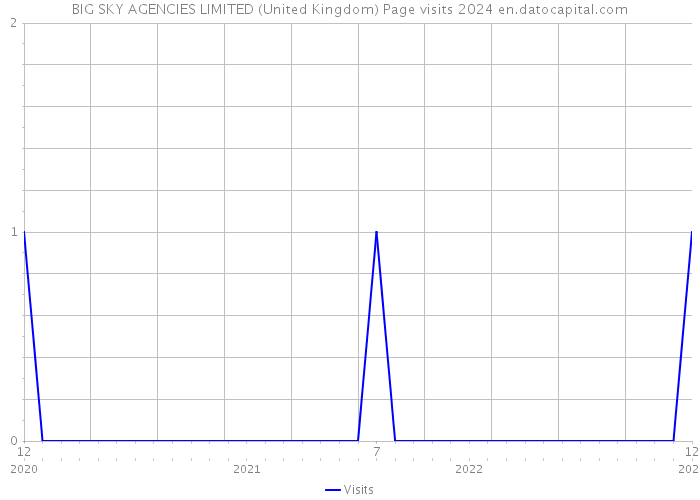 BIG SKY AGENCIES LIMITED (United Kingdom) Page visits 2024 