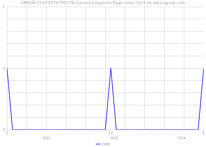 DREAM STAR ESTATES LTD (United Kingdom) Page visits 2024 