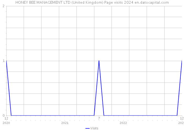 HONEY BEE MANAGEMENT LTD (United Kingdom) Page visits 2024 