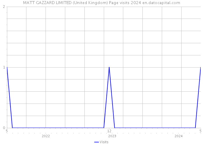 MATT GAZZARD LIMITED (United Kingdom) Page visits 2024 