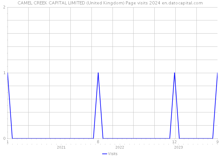 CAMEL CREEK CAPITAL LIMITED (United Kingdom) Page visits 2024 