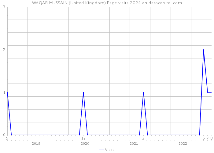 WAQAR HUSSAIN (United Kingdom) Page visits 2024 