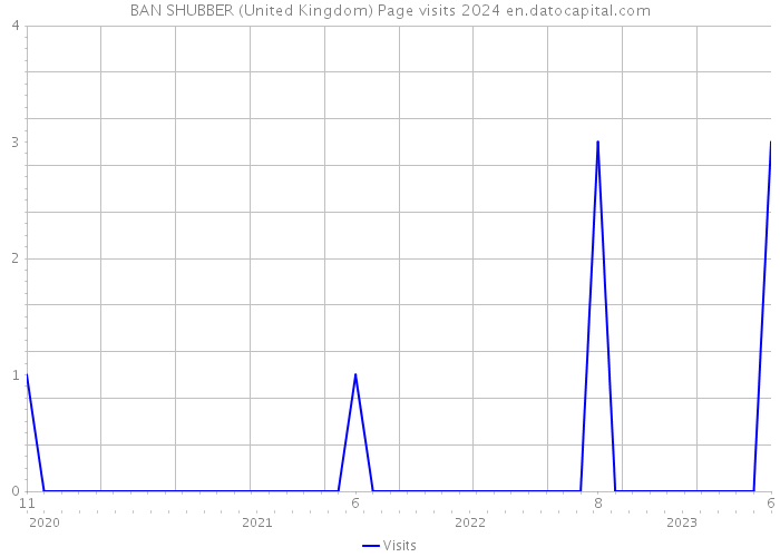 BAN SHUBBER (United Kingdom) Page visits 2024 