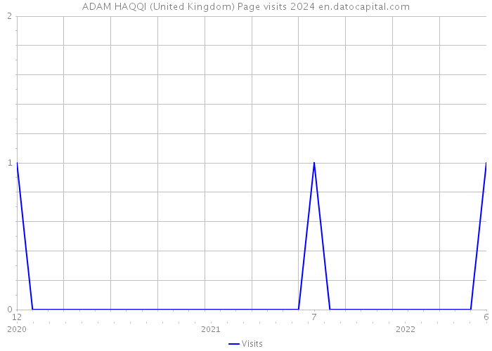 ADAM HAQQI (United Kingdom) Page visits 2024 