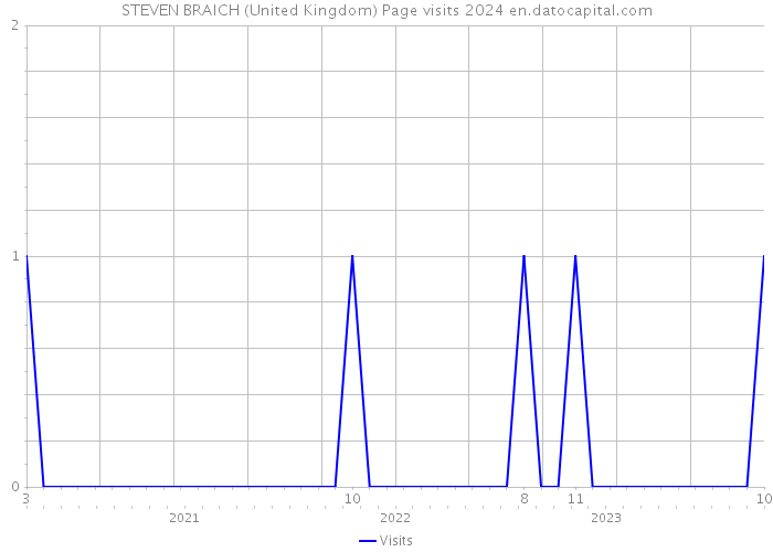 STEVEN BRAICH (United Kingdom) Page visits 2024 