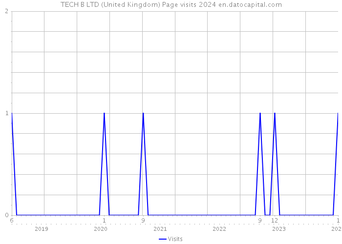 TECH B LTD (United Kingdom) Page visits 2024 