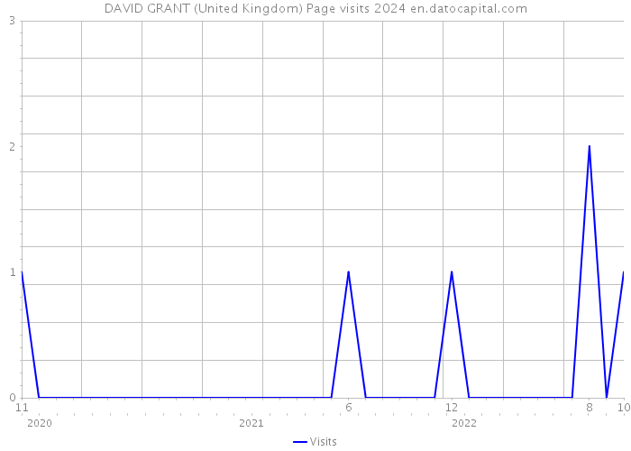 DAVID GRANT (United Kingdom) Page visits 2024 