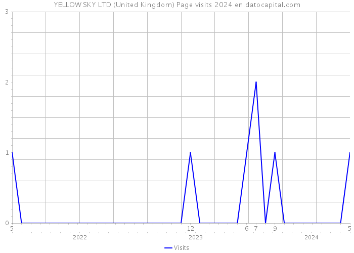 YELLOW SKY LTD (United Kingdom) Page visits 2024 