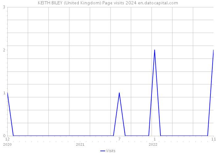 KEITH BILEY (United Kingdom) Page visits 2024 