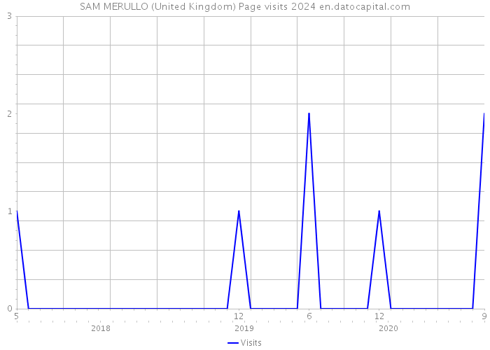 SAM MERULLO (United Kingdom) Page visits 2024 