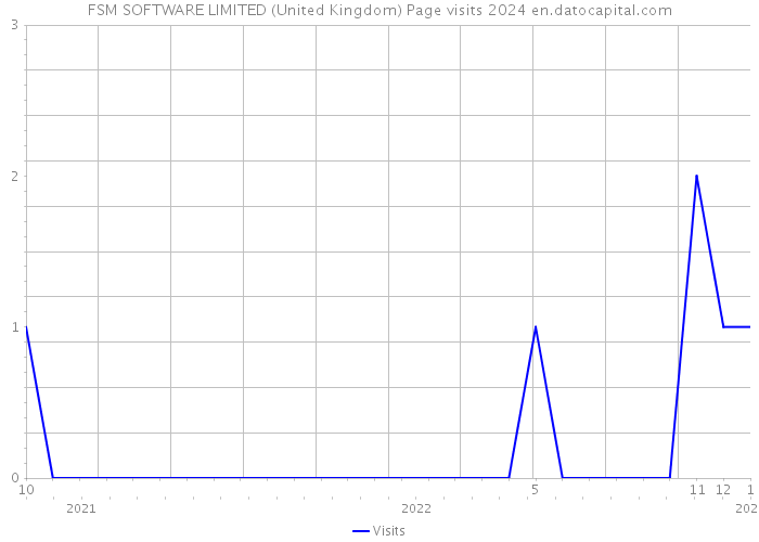FSM SOFTWARE LIMITED (United Kingdom) Page visits 2024 