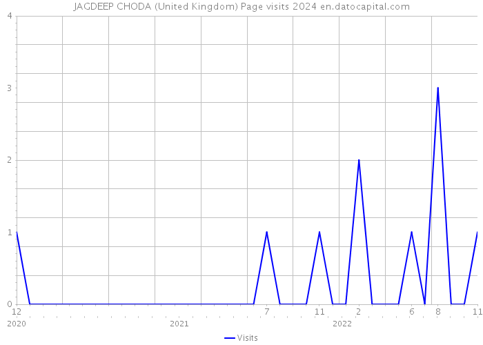 JAGDEEP CHODA (United Kingdom) Page visits 2024 