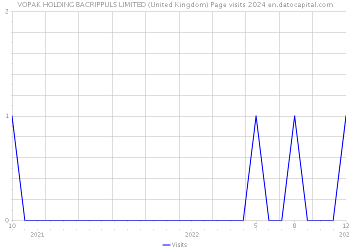 VOPAK HOLDING BACRIPPULS LIMITED (United Kingdom) Page visits 2024 