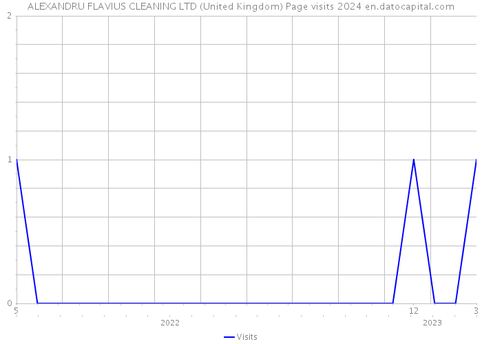 ALEXANDRU FLAVIUS CLEANING LTD (United Kingdom) Page visits 2024 