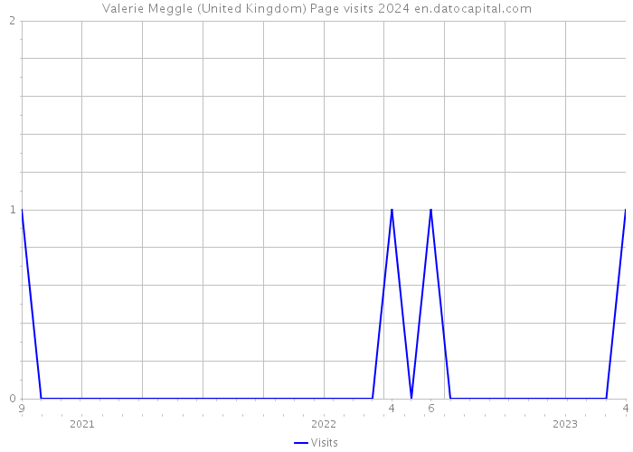 Valerie Meggle (United Kingdom) Page visits 2024 
