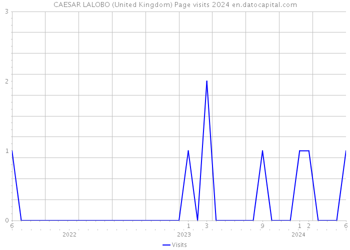 CAESAR LALOBO (United Kingdom) Page visits 2024 