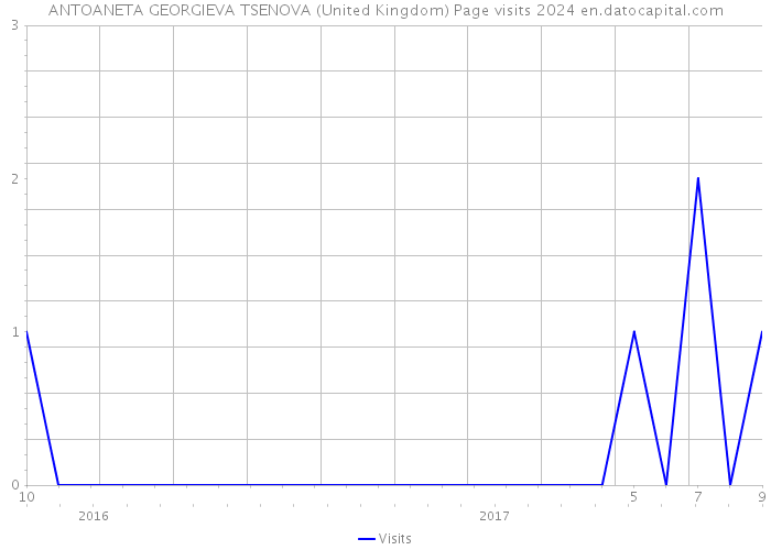 ANTOANETA GEORGIEVA TSENOVA (United Kingdom) Page visits 2024 