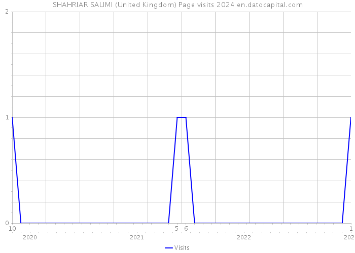 SHAHRIAR SALIMI (United Kingdom) Page visits 2024 