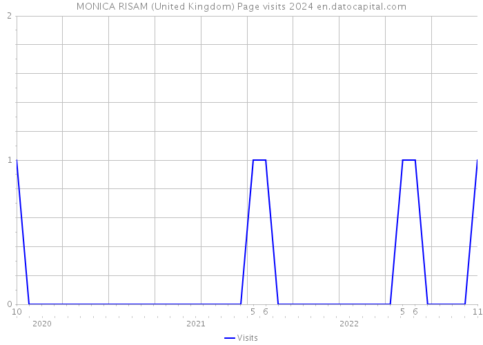 MONICA RISAM (United Kingdom) Page visits 2024 