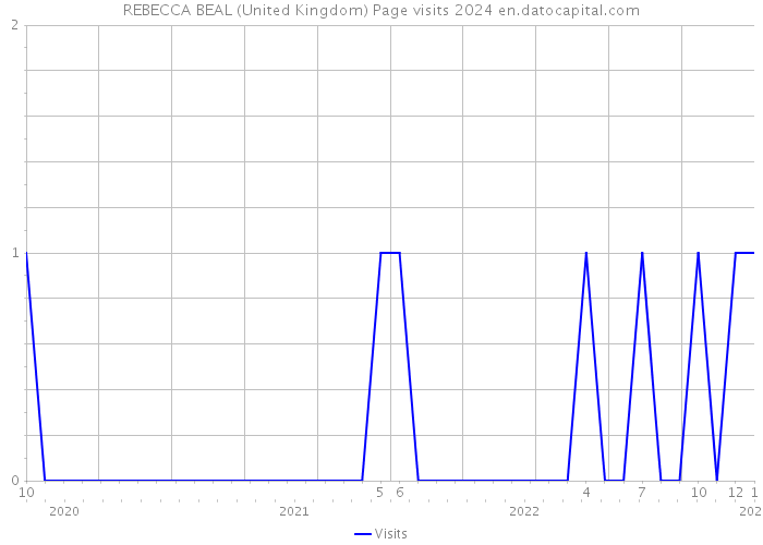 REBECCA BEAL (United Kingdom) Page visits 2024 