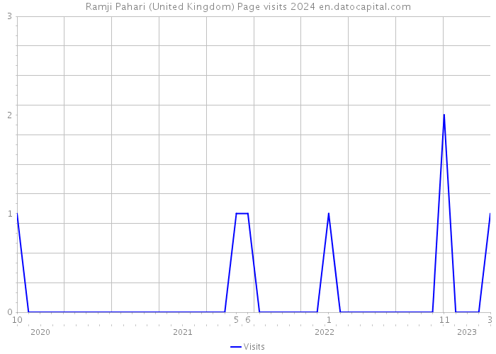 Ramji Pahari (United Kingdom) Page visits 2024 