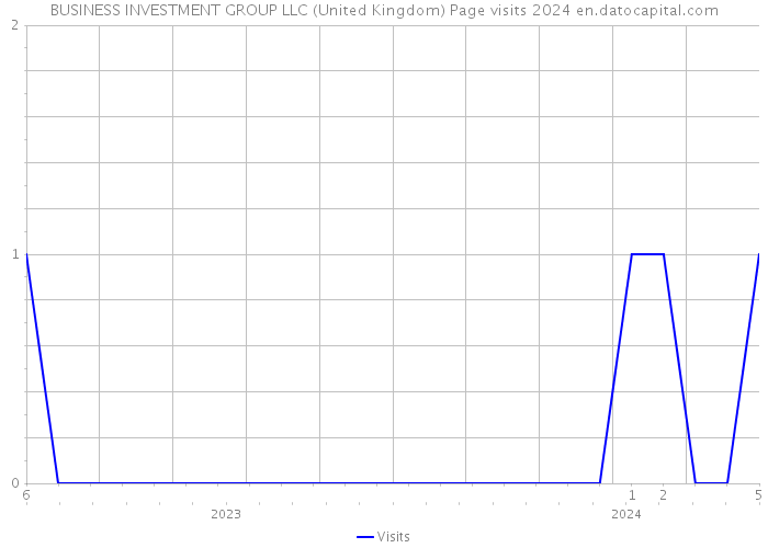 BUSINESS INVESTMENT GROUP LLC (United Kingdom) Page visits 2024 