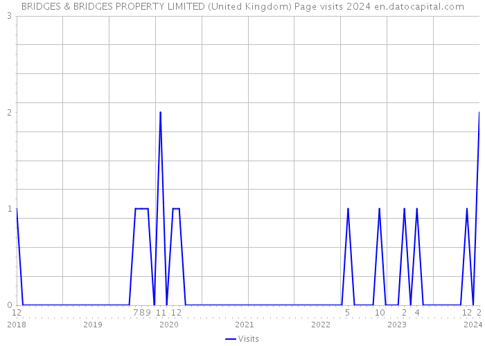 BRIDGES & BRIDGES PROPERTY LIMITED (United Kingdom) Page visits 2024 