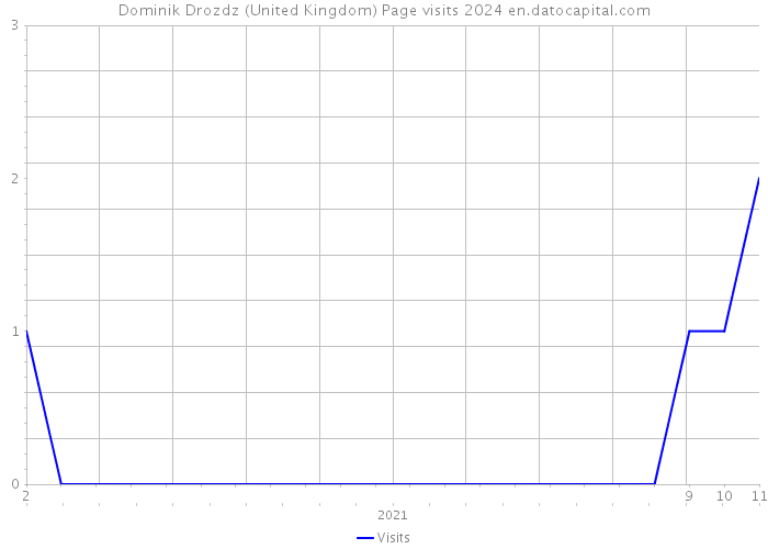 Dominik Drozdz (United Kingdom) Page visits 2024 
