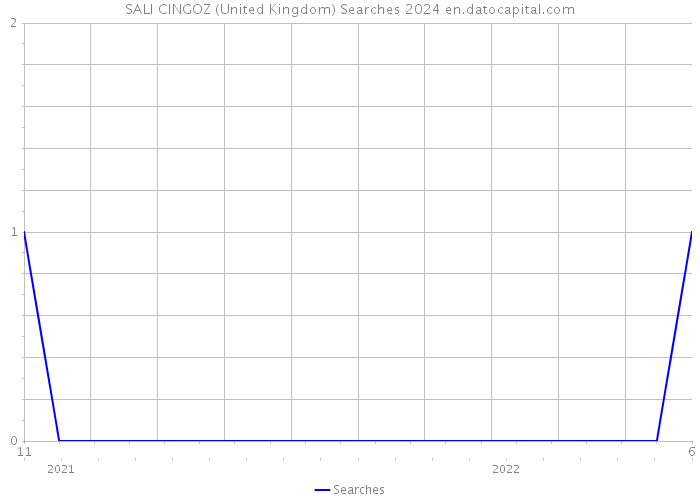 SALI CINGOZ (United Kingdom) Searches 2024 