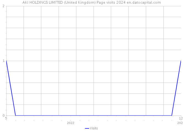 AKI HOLDINGS LIMITED (United Kingdom) Page visits 2024 