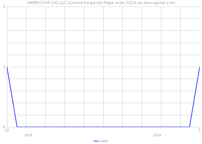 AMEROCAP LNG LLC (United Kingdom) Page visits 2024 