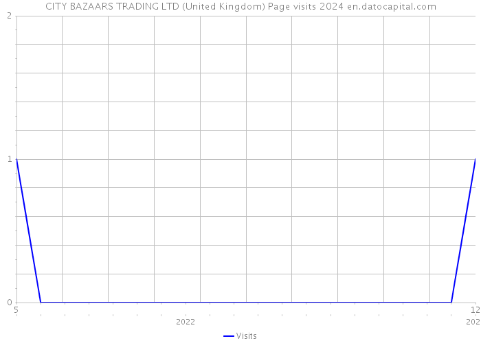 CITY BAZAARS TRADING LTD (United Kingdom) Page visits 2024 