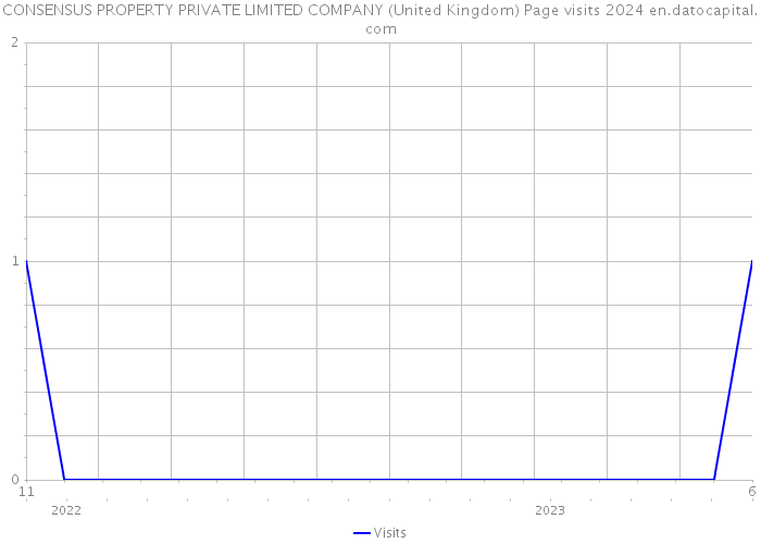 CONSENSUS PROPERTY PRIVATE LIMITED COMPANY (United Kingdom) Page visits 2024 