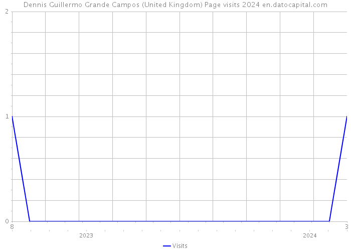 Dennis Guillermo Grande Campos (United Kingdom) Page visits 2024 