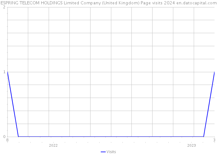 ESPRING TELECOM HOLDINGS Limited Company (United Kingdom) Page visits 2024 