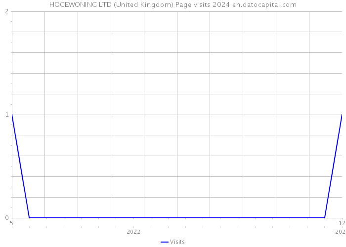 HOGEWONING LTD (United Kingdom) Page visits 2024 