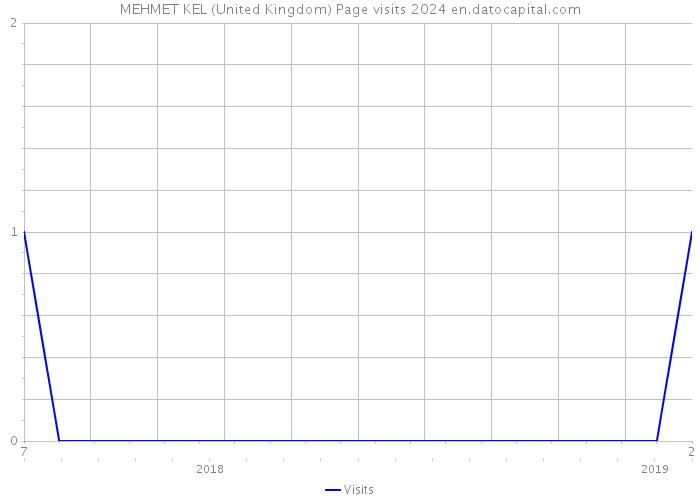 MEHMET KEL (United Kingdom) Page visits 2024 