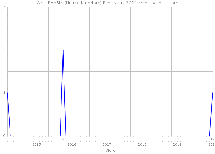 ANIL BHASIN (United Kingdom) Page visits 2024 