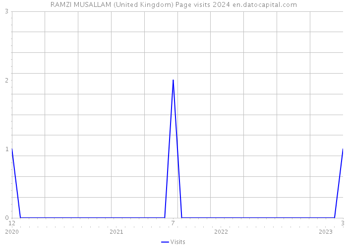 RAMZI MUSALLAM (United Kingdom) Page visits 2024 