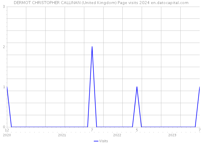 DERMOT CHRISTOPHER CALLINAN (United Kingdom) Page visits 2024 