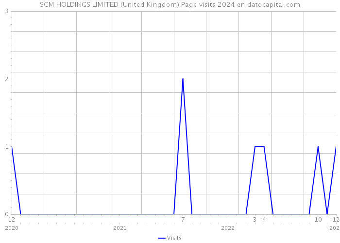 SCM HOLDINGS LIMITED (United Kingdom) Page visits 2024 