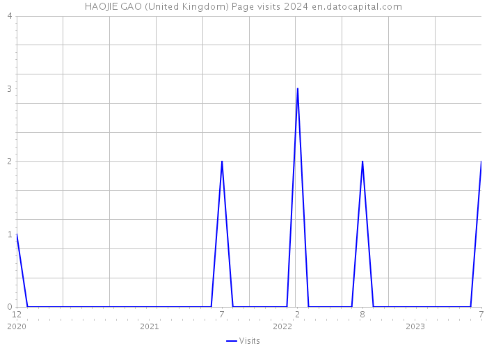 HAOJIE GAO (United Kingdom) Page visits 2024 