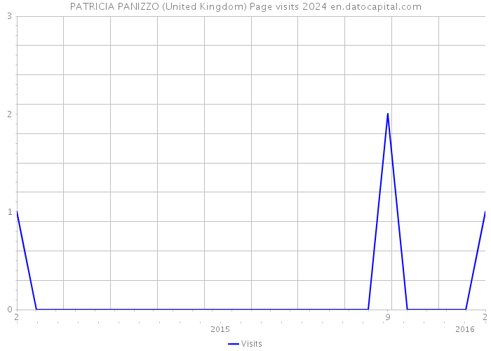 PATRICIA PANIZZO (United Kingdom) Page visits 2024 