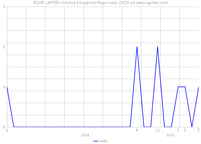 EGOR LAPTEV (United Kingdom) Page visits 2024 