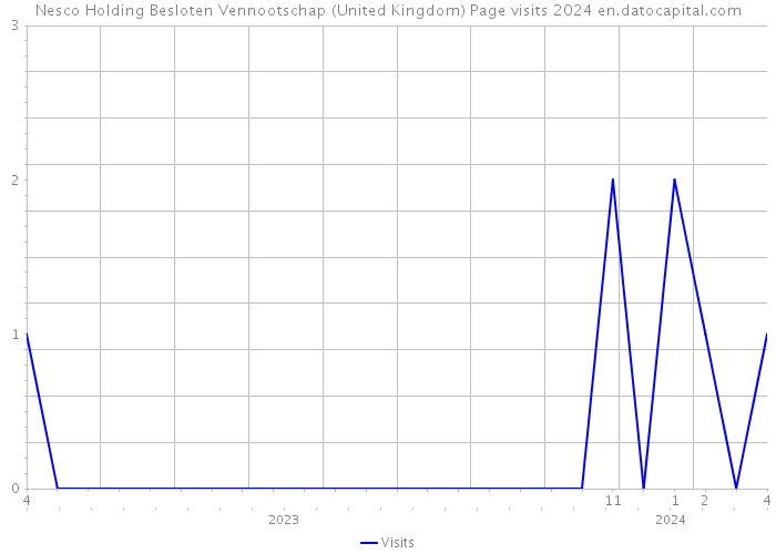 Nesco Holding Besloten Vennootschap (United Kingdom) Page visits 2024 